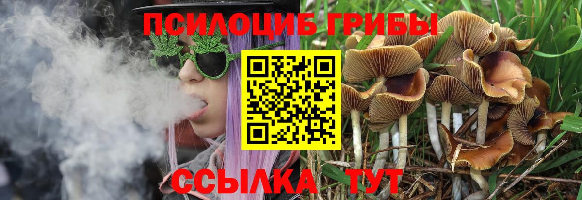 Псилоцибиновые грибы GOLDEN TEACHER  Галлюциногенные грибы MAGIC MUSHROOMS  Кудымкар  Вход с VPN 